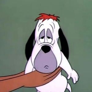 Meet your Posher, Gabriel